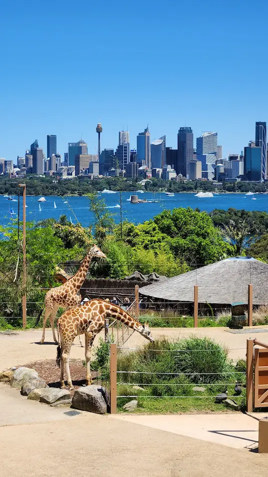  things to do in Sydney